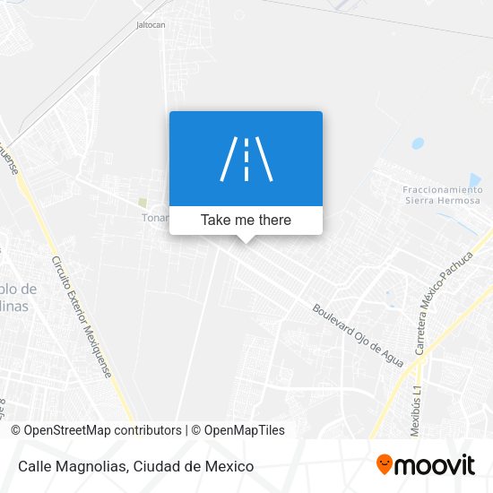 Calle Magnolias map