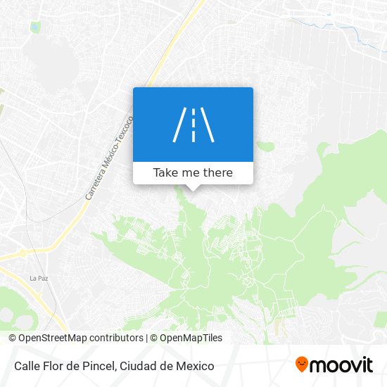 Calle Flor de Pincel map