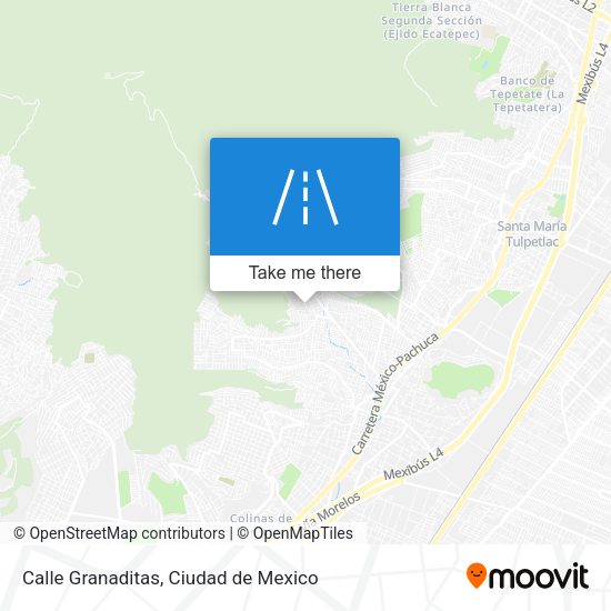 Calle Granaditas map