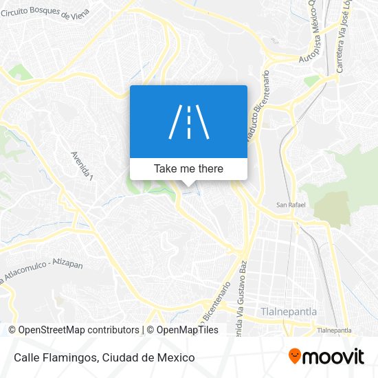 Calle Flamingos map