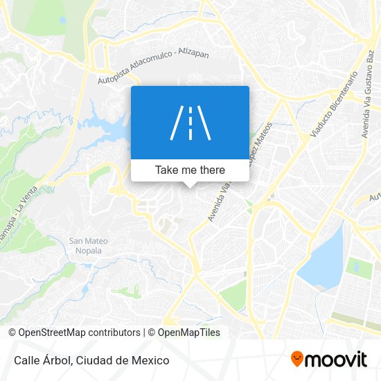 Mapa de Calle Árbol