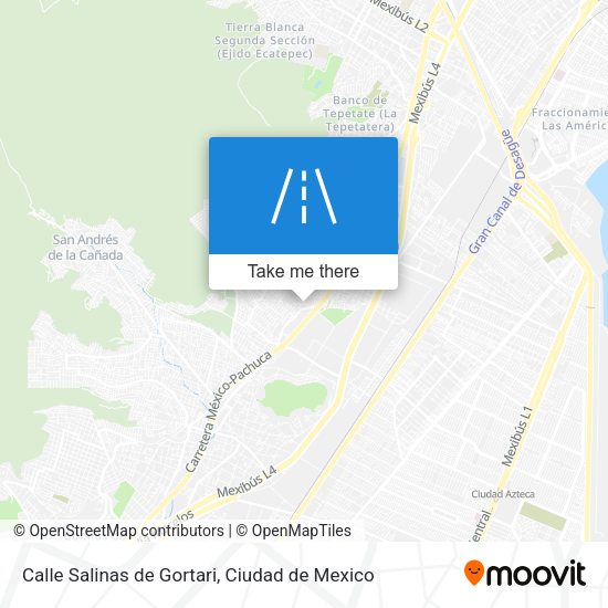 Calle Salinas de Gortari map