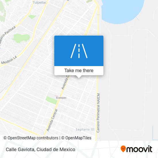 Calle Gaviota map
