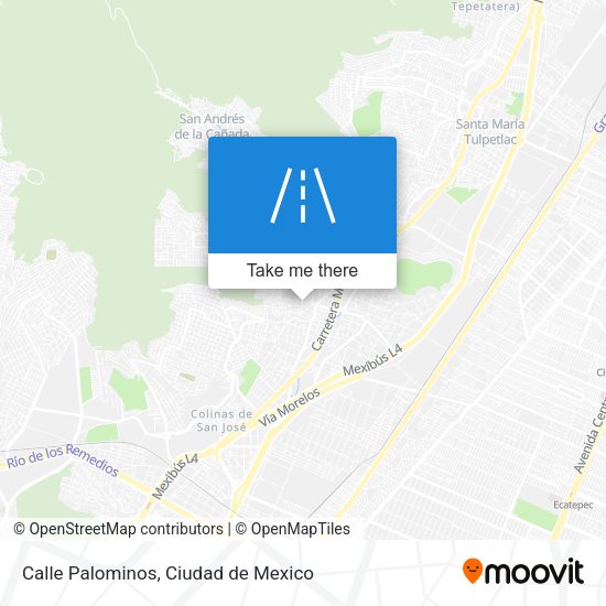 Calle Palominos map