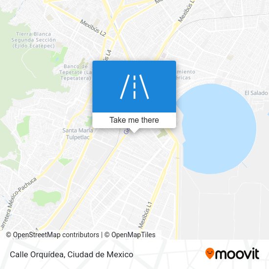 Calle Orquídea map