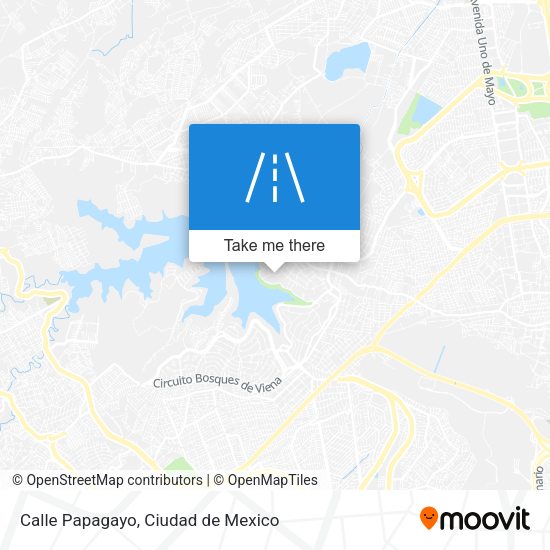 Calle Papagayo map