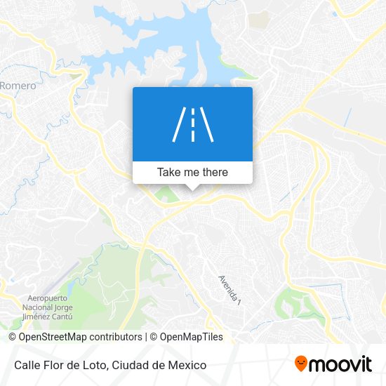 Calle Flor de Loto map