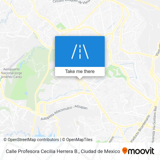 Calle Profesora Cecilia Herrera B. map