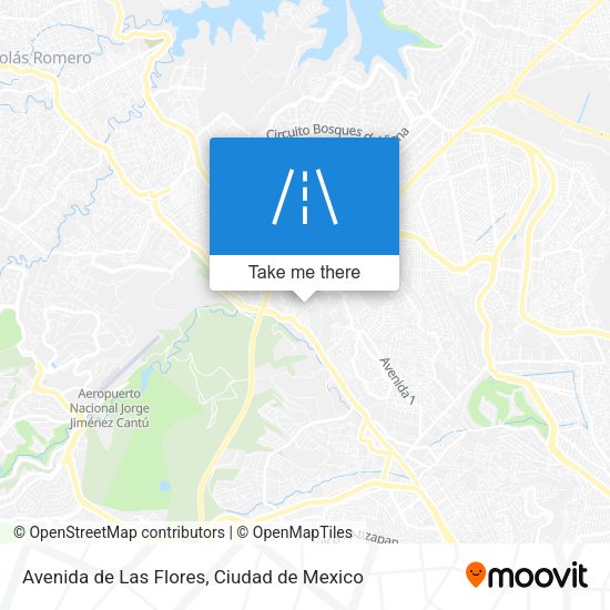 Avenida de Las Flores map