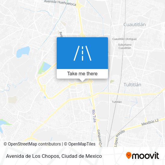 Avenida de Los Chopos map