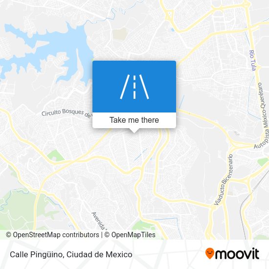 Calle Pingüino map