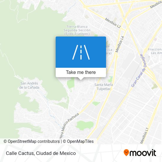 Calle Cactus map