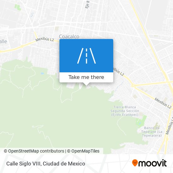 Calle Siglo VIII map