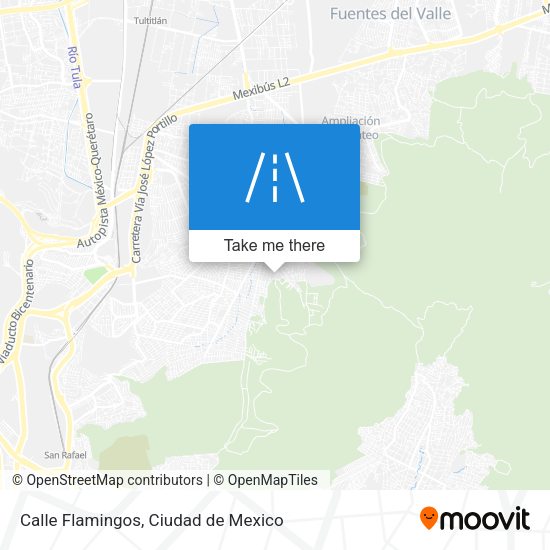 Calle Flamingos map