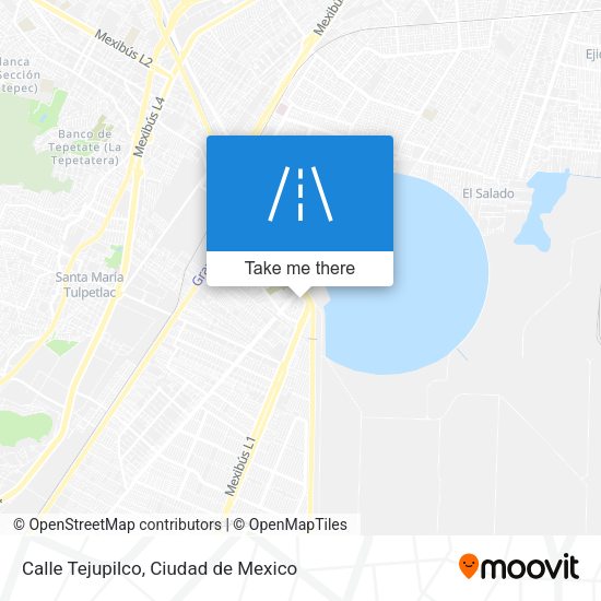 Calle Tejupilco map