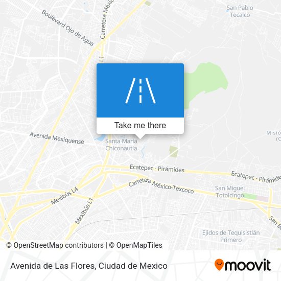 Avenida de Las Flores map