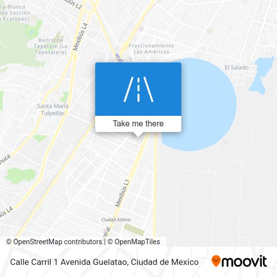 Mapa de Calle Carril 1 Avenida Guelatao