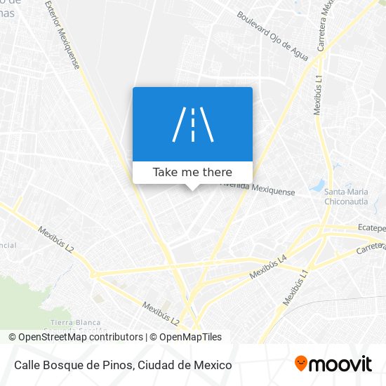 Mapa de Calle Bosque de Pinos