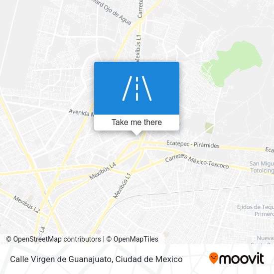 Calle Virgen de Guanajuato map