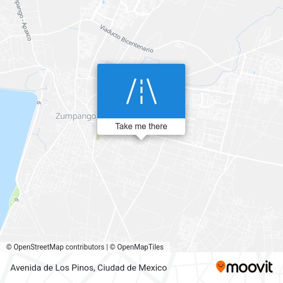Avenida de Los Pinos map