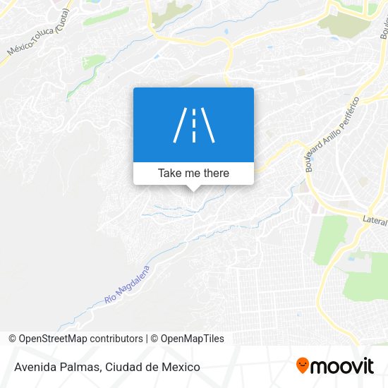 Mapa de Avenida Palmas
