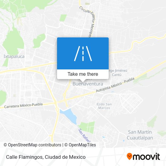 Calle Flamingos map