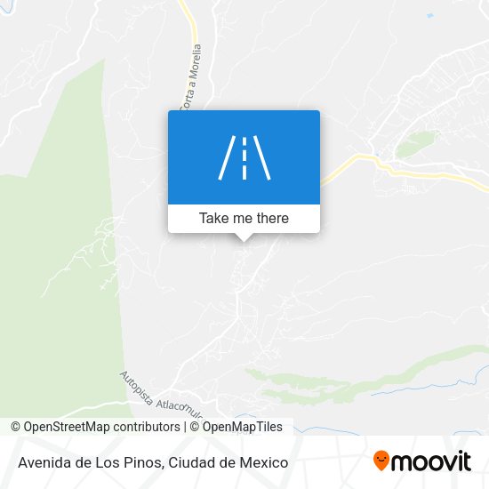 Avenida de Los Pinos map
