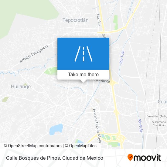 Calle Bosques de Pinos map