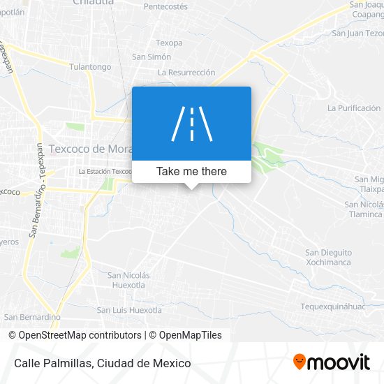 Calle Palmillas map