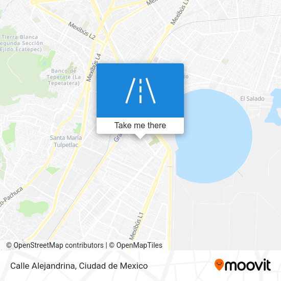 Mapa de Calle Alejandrina