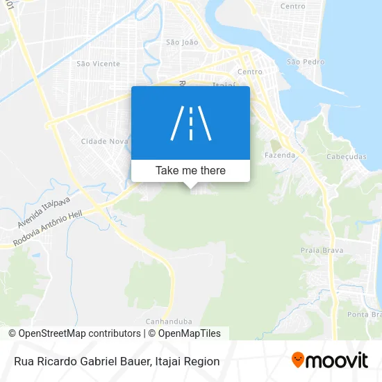 Rua Ricardo Gabriel Bauer map