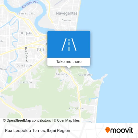 Rua Leopoldo Ternes map