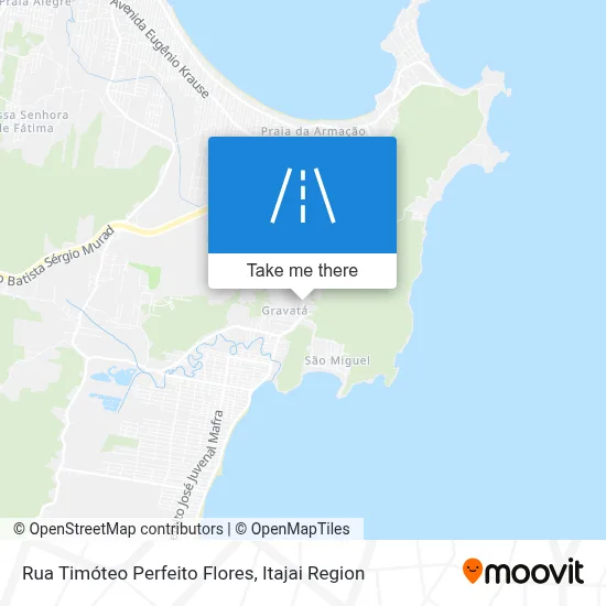 Rua Timóteo Perfeito Flores map