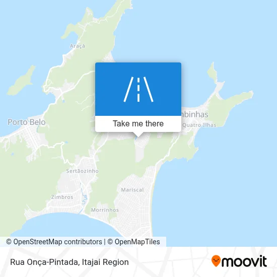 Rua Onça-Pintada map