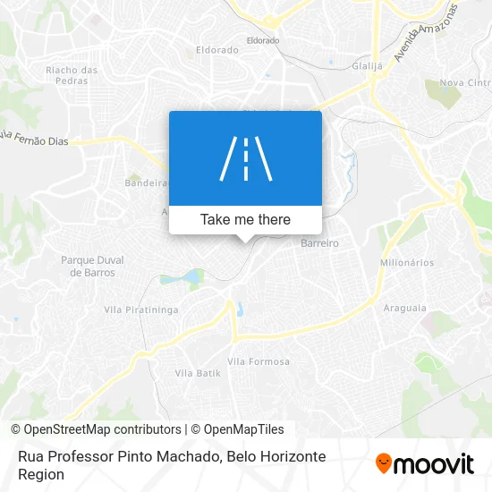 Rua Professor Pinto Machado map