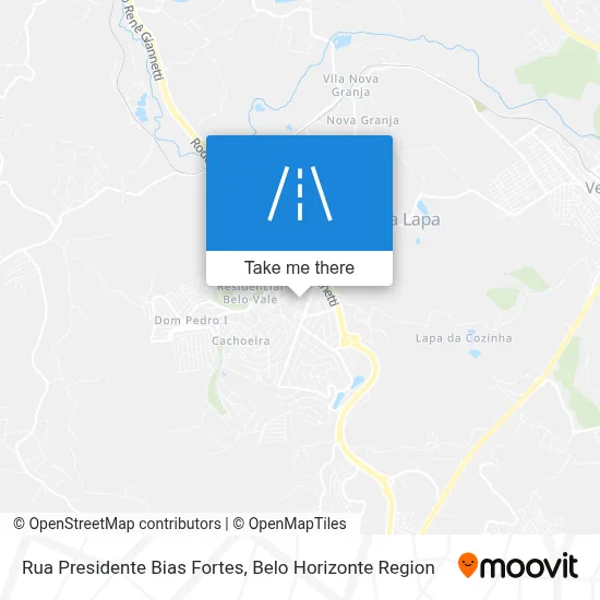 Rua Presidente Bias Fortes map