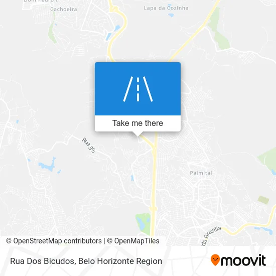 Rua Dos Bicudos map