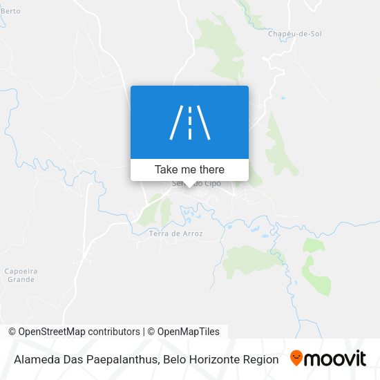 Alameda Das Paepalanthus map