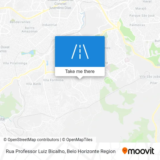Rua Professor Luiz Bicalho map