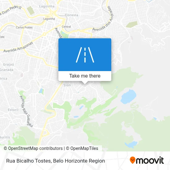 Rua Bicalho Tostes map