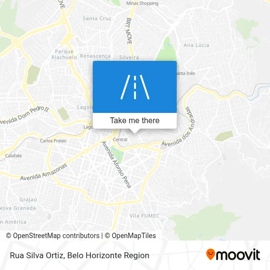 Rua Silva Ortiz map