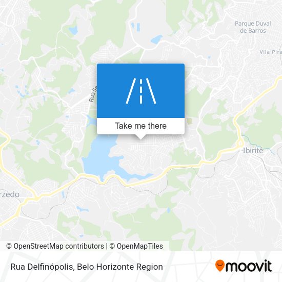 Rua Delfinópolis map