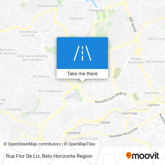 Rua Flor De Liz map