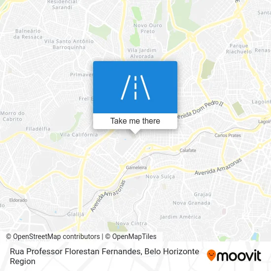 Rua Professor Florestan Fernandes map