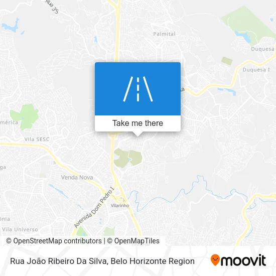 Rua João Ribeiro Da Silva map