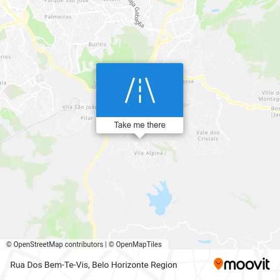 Rua Dos Bem-Te-Vis map