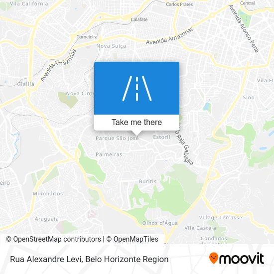 Rua Alexandre Levi map