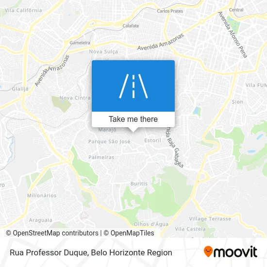 Rua Professor Duque map