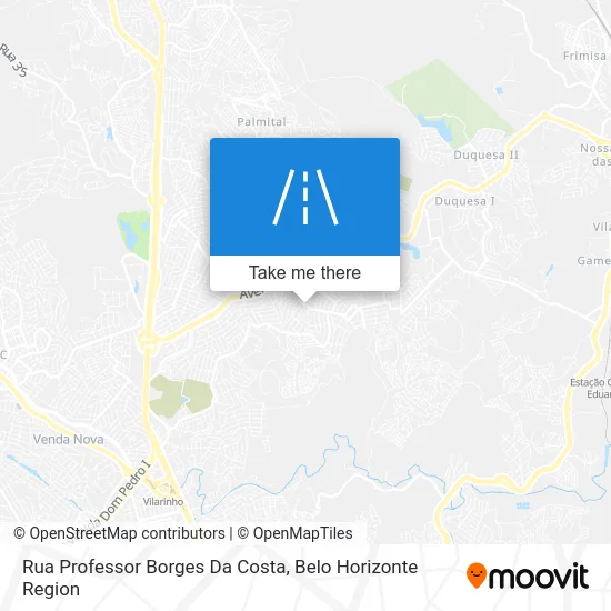 Rua Professor Borges Da Costa map