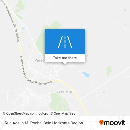 Rua Adelia M. Rocha map